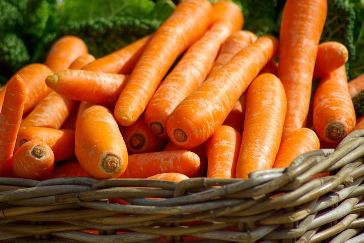 carrot vegetable